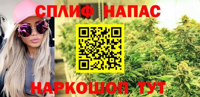 шишки Краснодар