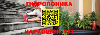 гидропоника Краснознаменск
