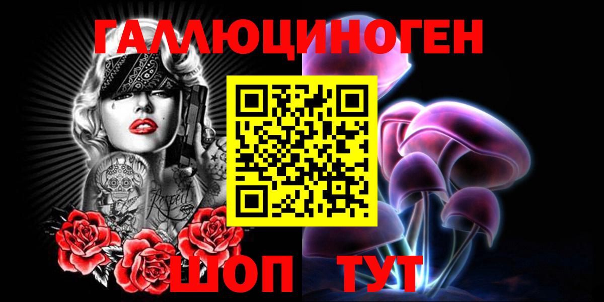 Псилоцибиновые грибы Psilocybe Кисловодск