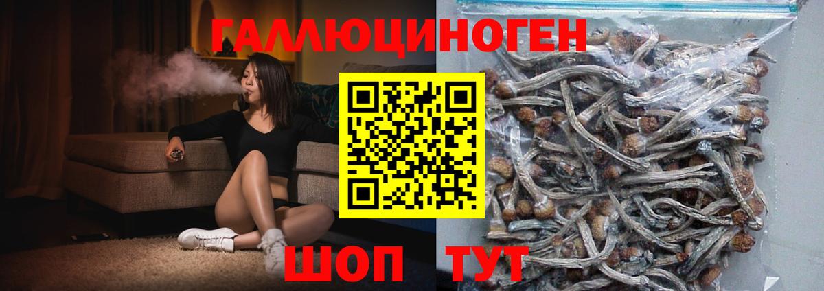 Галлюциногенные грибы Psilocybine cubensis  Вход с VPN  Кисловодск 
